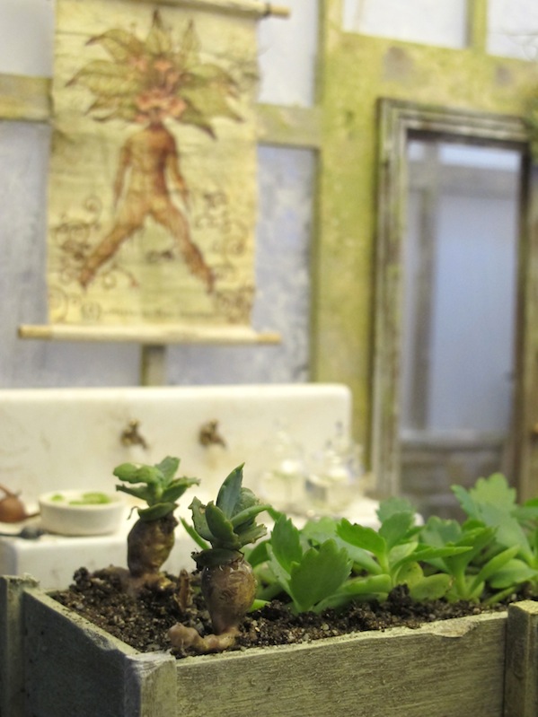 Baby Mandrakes and poster