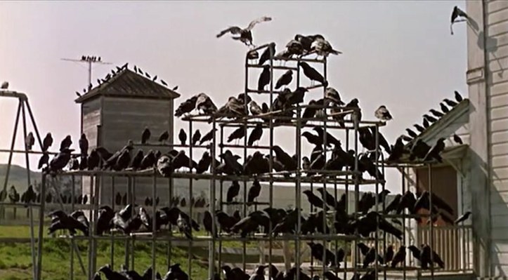 Playground equipment with birds