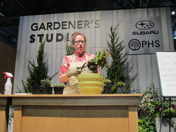 Trimming the plants to fit in the pot.
