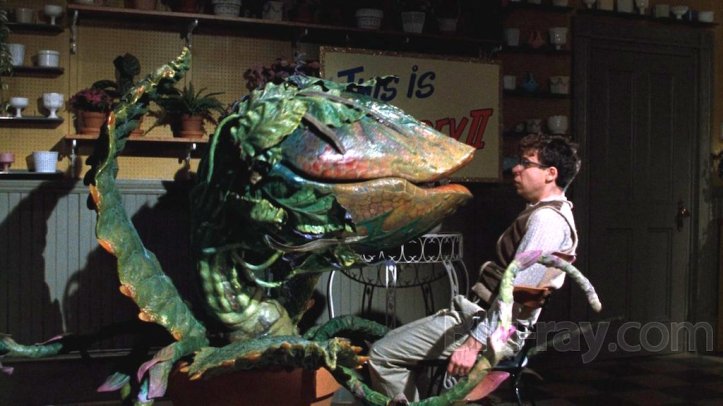 Little Shop of Horrors