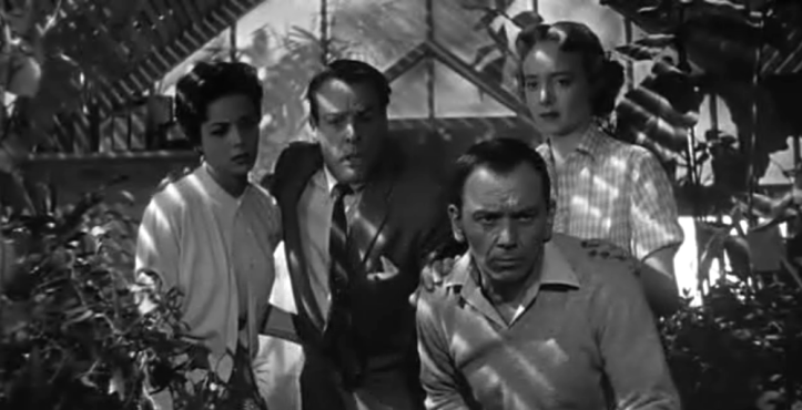 Discovering the replicas